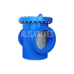 Basket Type Strainer