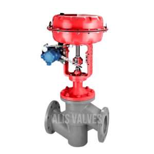 lined control valve